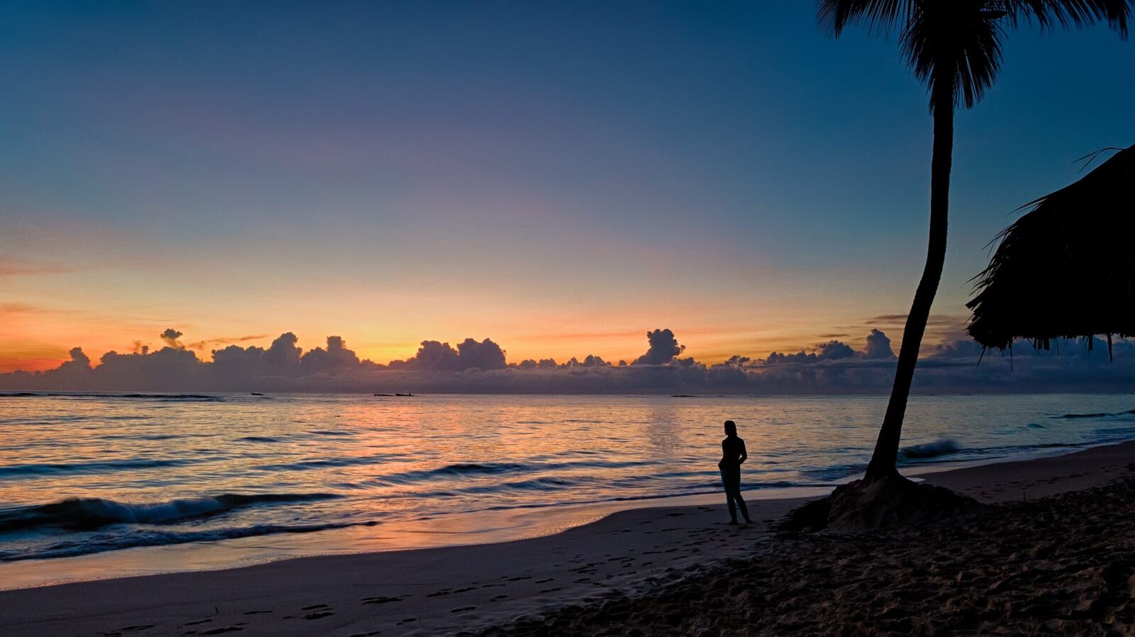 5 Awesome Things to Do in Punta Cana
