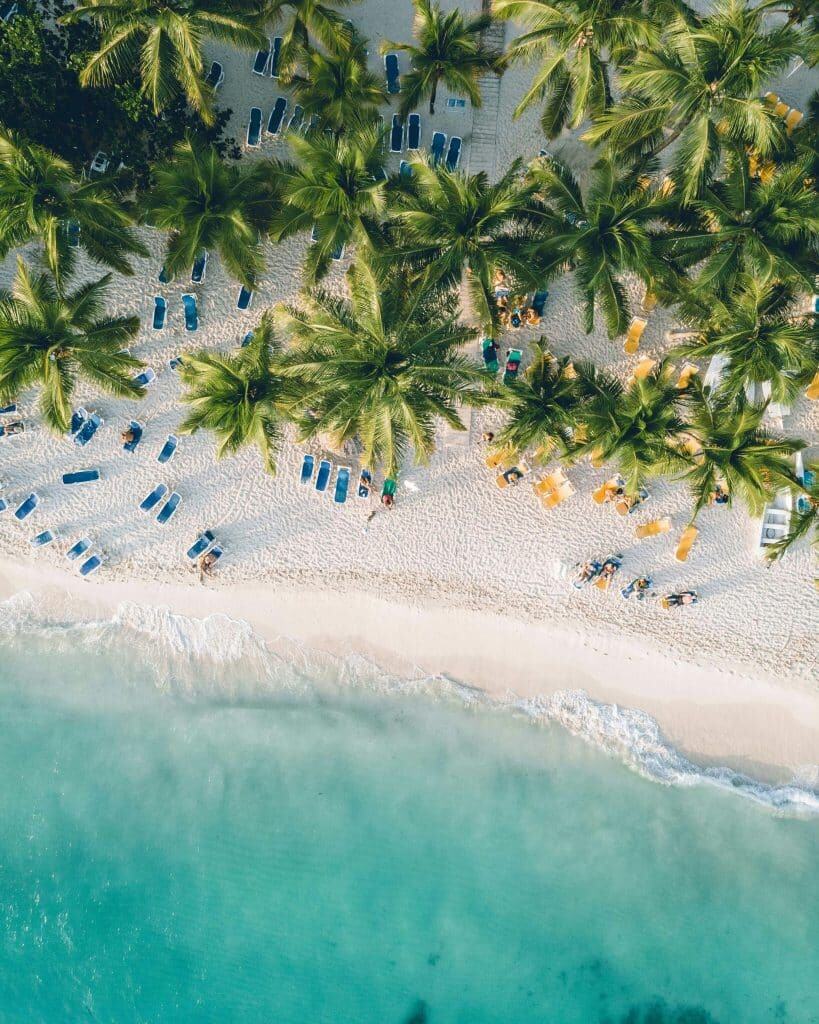 Aerial view of a tropical beach with turquoise water, white sand, and rows of green palm trees. Blue and yellow lounge chairs are scattered across the beach, with people relaxing under the shade and sun.