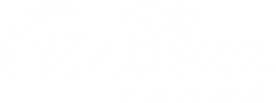 Go Blue Tours